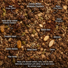 Cocoa Millet Granola